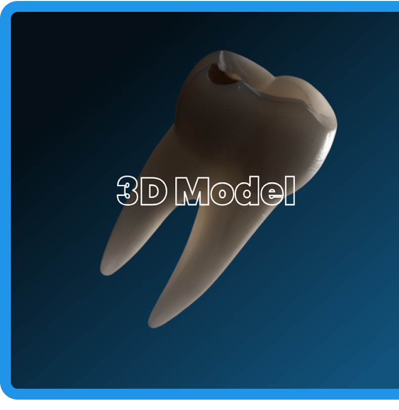 Descriptive Alt Text